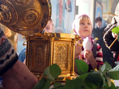 Ковчег с мощами святой Матроны Московской в Казанской Епархии